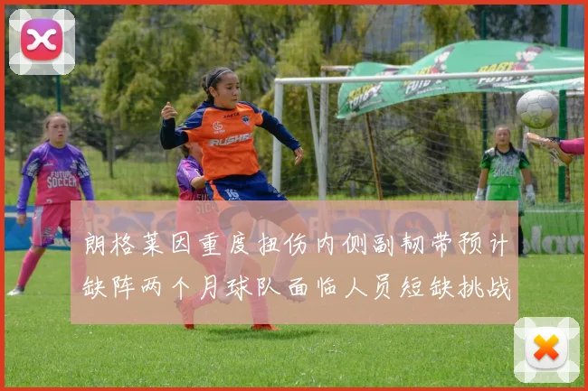 朗格莱因重度扭伤内侧副韧带预计缺阵两个月球队面临人员短缺挑战