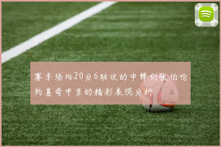 赛季场均20分6助攻的中锋们张伯伦约基奇申京的精彩表现分析
